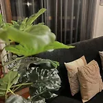 Dom wakacyjny Cozy