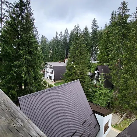 Vakantiehuis Cozy Vlasic