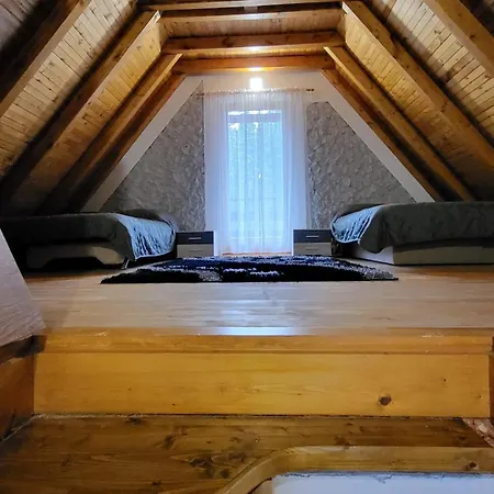 Cozy Vlasic