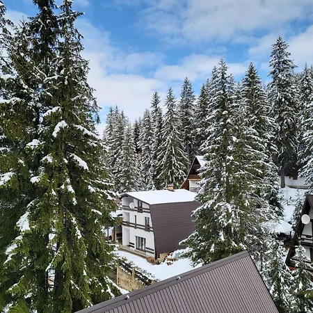 Cozy Holiday home Vlasic