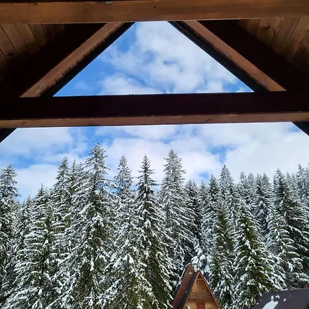 Cozy Власич