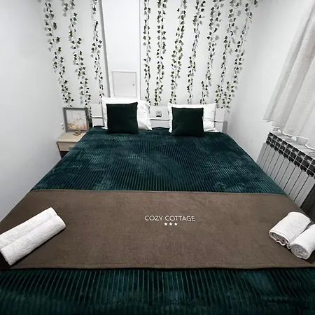 Cozy 펜션